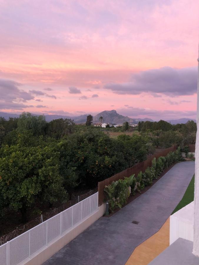 Sunny Apartment In Denia With Outdoor Swimming Pool And Garage Parking Place Included, 300M From The Sandy Beach Екстер'єр фото